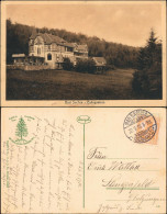 Ansichtskarte Bad Sachsa Gasthaus Eulingswiese 1916  - Bad Sachsa