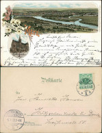 CPA Litho AK Metz Panorama Und Cathedrale 1898  - Autres & Non Classés