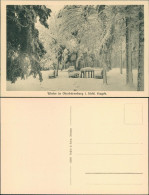 Oberbärenburg-Altenberg (Erzgebirge) Winterlandschaft, Rastplatz Im Wald 1914 - Altenberg