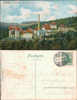 Ansichtskarte Hohwald (Sachsen) Partie An Der Heilstätte 1910  - Hohwald (Sachsen)