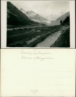 Samaden Samedan Roseggletscher / Vadret Da Roseg Viehweide 1929 Privatfoto - Autres & Non Classés