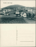 Ansichtskarte Bärenfels (Erzgebirge)-Altenberg (Erzgebirge) Stadtpartie 1913 - Altenberg