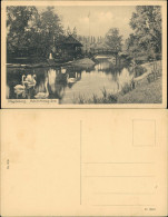 Ansichtskarte Werder-Magdeburg Adolf-Mittag-See, Fährhaus, Schwäne 1910 - Other & Unclassified