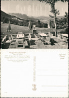 Ansichtskarte Sonthofen Berggasthof ,,Alpenblick" - Restaurant 1961 - Sonthofen