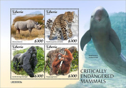 Liberia 2023, Animals In Danger, Rhino, Leopard, Gorilla, Dolphin, 4val In BF - Dolphins