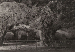 51929 - Friedrichroda - Marienglashöhle - 1974 - Friedrichroda