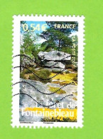 Forêt Fontainebleau, Rochers, Escalade, France 4016 - Arbres