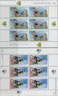 New Zealand 1970 SG942 Health Soccer And Netball Set Of 2 MS MNH - Other & Unclassified