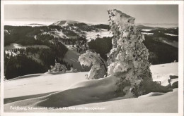 71481212 Feldberg Schwarzwald Blick Zum Herhzogenhorn Feldberg - Feldberg