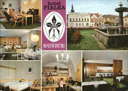 71478167 Susice Hotel Fialka Susice - Czech Republic