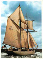 Bateaux - Voiliers - Les Grands Voiliers - Belle Poule - Gréement Goélette à Hunier - CPM - Voir Scans Recto-Verso - Sailing Vessels