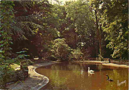 91 - Longjumeau - Le Parc De La Mairie - Cygnes - CPM - Voir Scans Recto-Verso - Longjumeau