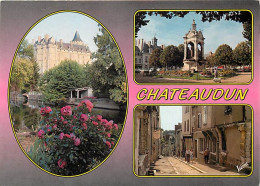 28 - Chateaudun - Multivues - Fleurs - CPM - Voir Scans Recto-Verso - Chateaudun