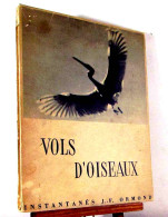 ORMOND J.F. - VOLS D'OISEAUX - INSTANTANES - Other & Unclassified