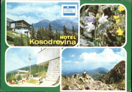 71477679 Tschechische Republik Hotel Kosodrevina  - Czech Republic