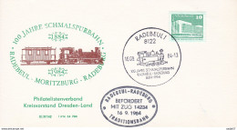 DDR 100 Jahre Schmalspurbahn Radebeul - Moritsburg - Radeburg 16-09-1984 ZUG 14234 - Trains