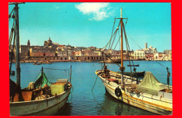 ITALIA - PUGLIA - Bisceglie (Barletta-Andria-Trani) - Il Porto - Cartolina Viaggiata - Bisceglie