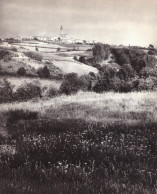 1958 - Héliogravure : Dardilly (Rhône) - Vue Générale - Zonder Classificatie