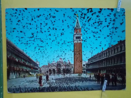 KOV 1-4 - Venezia, Italia, Piazza S. MARCO, Place, Platz, Pigeon - Venezia (Venice)