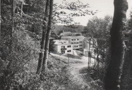 5089 - Gammertingen - Blick über Schulzentrum Zum Kloster - Ca. 1965 - Sigmaringen