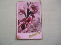 Carte Postale Ancienne 1953 GLAIEULS - Bloemen