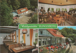 7113 - Schönwalde - Waldgaststätte Bungsberg - Ca. 1965 - Eutin