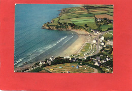 29-----DOUARNENEZ--La Plage Du Ris Et Les Falaises--voir 2 Scans - Douarnenez