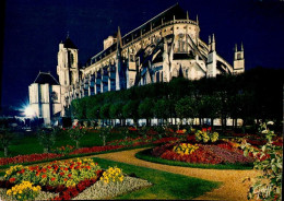 BOURGES     ( CHER )      CATHEDRALE ET JARDIN ILLUMINE - Bourges