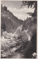 Broc.- Gorges De La Jogne. Carte-photo - Broc