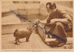 Document (1931) : Naissance D'un Hippopotame Au Jardin Zoologique De Berlin Avec Son Gardien (15,5 Cm X 23 Cm) - Collections