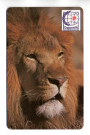Lion Leo  Télécarte Magnétique Zambie Zanbia Phonecard (salon 634) - Zambia