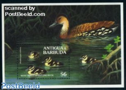 Antigua & Barbuda 1994 Duck S/s, Mint NH, Nature - Birds - Ducks - Antigua Et Barbuda (1981-...)