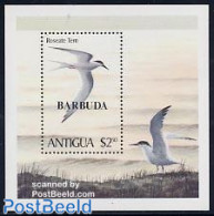 Barbuda 1980 Birds S/s, Mint NH, Nature - Birds - Barbuda (...-1981)