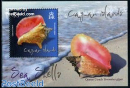 Cayman Islands 2010 Sea Shells S/s, Mint NH, Nature - Shells & Crustaceans - Meereswelt