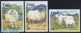 Ireland 1991 Irish Sheep 3v, Mint NH, Nature - Animals (others & Mixed) - Cattle - Nuovi