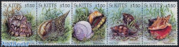 Saint Kitts/Nevis 1996 Snails 5v [::::], Mint NH, Nature - Shells & Crustaceans - Meereswelt