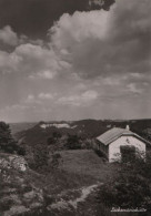 77909 - Lochenstein - Albvereinshütte, Blick Zum Hörnle - Ca. 1965 - Balingen