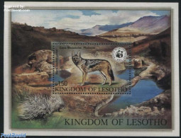 Lesotho 1981 WWF, Animals S/s, Mint NH, Nature - Animals (others & Mixed) - Dogs - World Wildlife Fund (WWF) - Lesotho (1966-...)