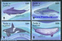Turks And Caicos Islands 2001 Whales 4v, Mint NH, Nature - Sea Mammals - Other & Unclassified