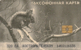 PHONE CARD RUSSIA KOSTROMA (E11.15.4 - Russie