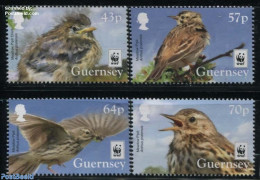Guernsey 2017 WWF, Meadow Pipit 4v, Mint NH, Nature - Birds - World Wildlife Fund (WWF) - Guernesey