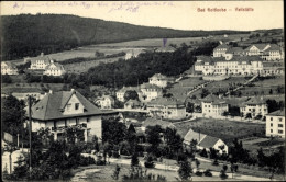 CPA Bad Gottleuba In Sachsen, Teilansicht, Heilstätte - Other & Unclassified