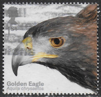 GROSSBRITANNIEN GRANDE BRETAGNE GB 2019 BIRDS OF PREY : GOLDEN EAGLE 1st  USED SG 4204 MI 4373 YT 4785 SC 3835 - Used Stamps