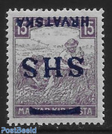 Yugoslavia 1918 Stamp Out Of Set. 1 V + Tab. With Inverted Imprint., Mint NH, Various - Errors, Misprints, Plate Flaws - Neufs