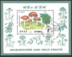 Korea Champignons Mushrooms ( A54 26) - Funghi