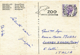 Belgium Belgio, Cartolina Con Annullo Meccanico, Bruxelles, 20/6/1974, Zoo Anversa Anvers Antwerpen - Delfino Dolfin - Autres & Non Classés