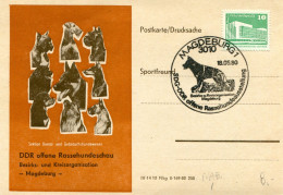Dog Dogs DDR, Cartolina Con Annullo Magdeburgo, 18/5/1980, Esposizione Canina  - Pastore Tedesco - Chiens