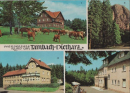 88988 - Tambach-Dietharz - U.a. Falkenstein - 1968 - Tambach-Dietharz