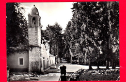 ITALIA - PUGLIA - Foresta Umbra (Foggia) - Chiesa S. Antonio - Cartolina Viaggiata - Autres & Non Classés