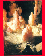 ITALIA - PUGLIA - Grotte Di Castellana (Bari) - Aiuola Di Cristalli  - Cartolina Viaggiata Nel 1975 - Other & Unclassified